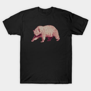 Hand Drawn Grizzly Bear T-Shirt